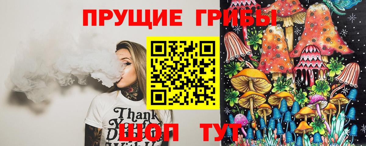 Галлюциногенные грибы Psilocybine cubensis  Вход с VPN  Елабуга 