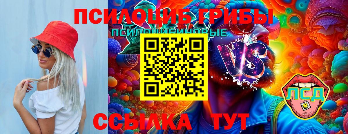 Псилоцибиновые грибы Cubensis Елабуга